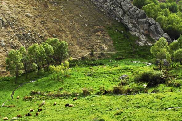 طبیعت روستای پیله درق