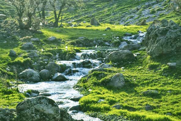 رودخانه بیله درق