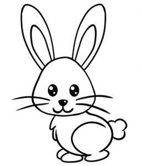 عکس طرح خرگوش خوشحال و خندان که با مداد بر روی کاغذ کشیده شده