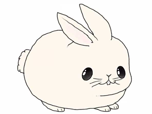 نقاشی خرگوش تپلی مپلی و چاق برای بچه ها